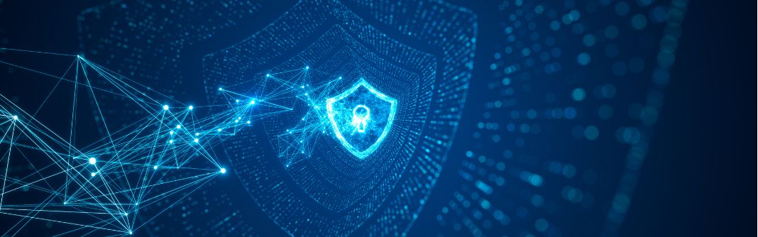 Online security awareness: veilig online werken