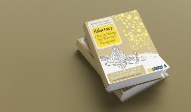 Holacracy (samenvatting)