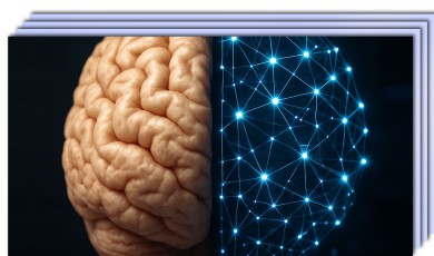 Leertraject: Sterk in Communicatie